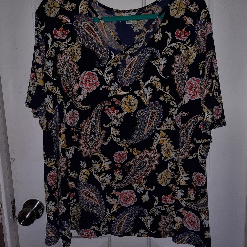 Nice paisley blouse EUC sz 26/28